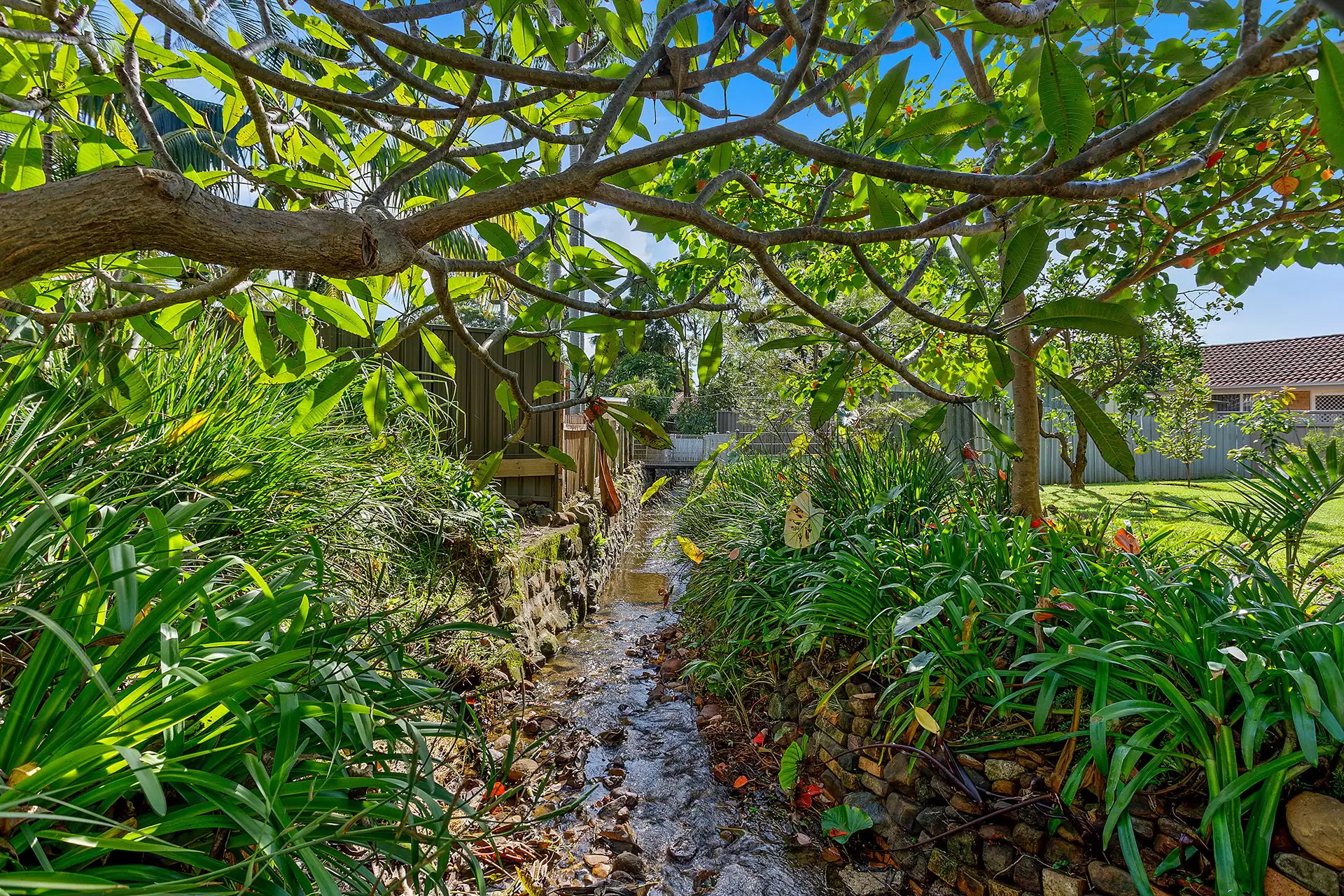 23 Mountain Ave, Woonona Sold by Laurence Morgan Real Estate - image 7