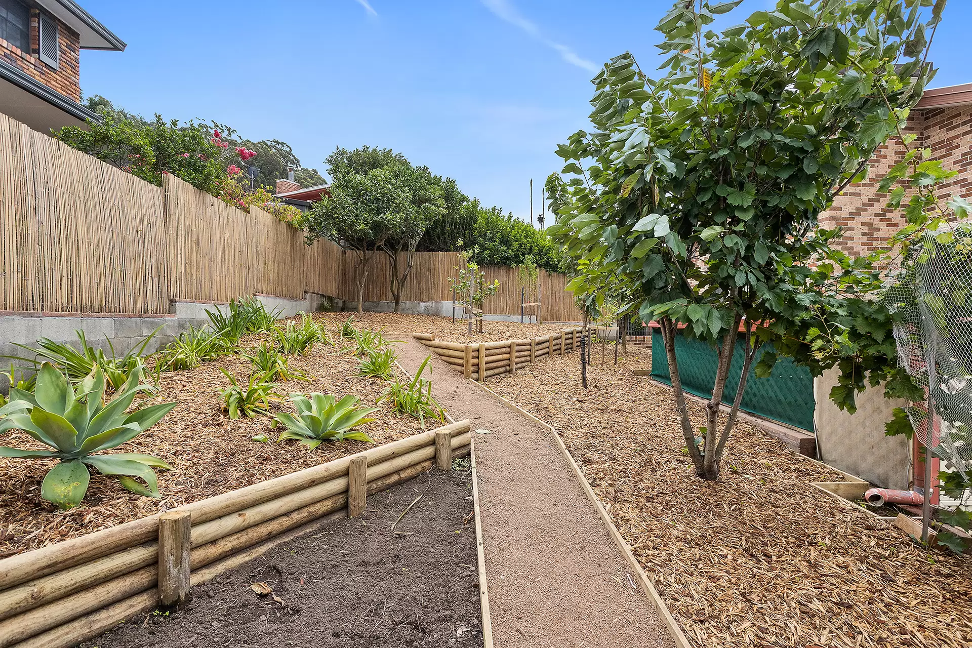 6 Bellambi Street, Tarrawanna Sold by Laurence Morgan Real Estate - image 12