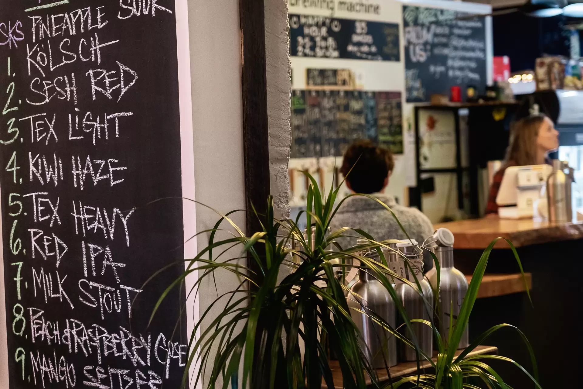 56 Caldwell Avenue, Tarrawanna Sold by Laurence Morgan Real Estate - image 14