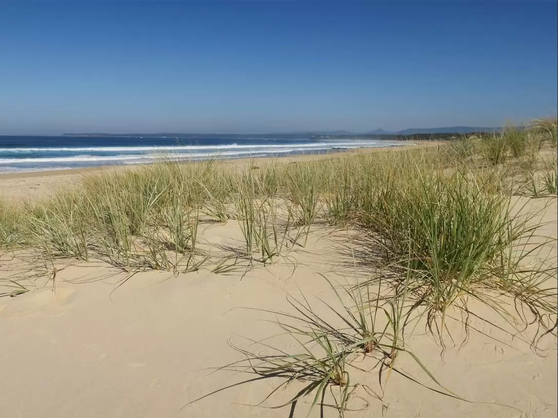 5 Pebble Beach Parade, Sussex Inlet For Sale by Laurence Morgan Real Estate - image 6