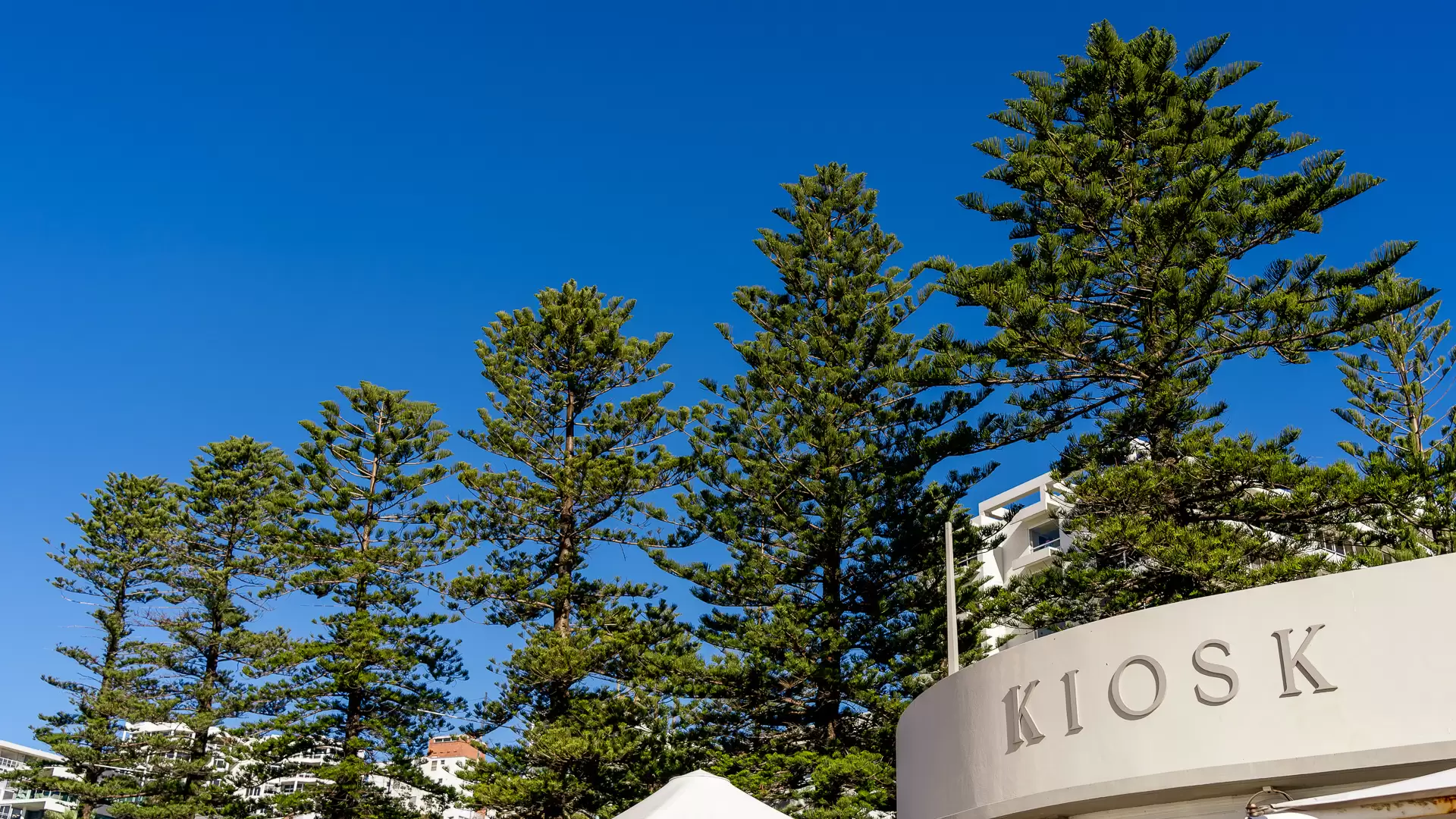 4/68 Corrimal Street, Wollongong Sold by Laurence Morgan Real Estate - image 12